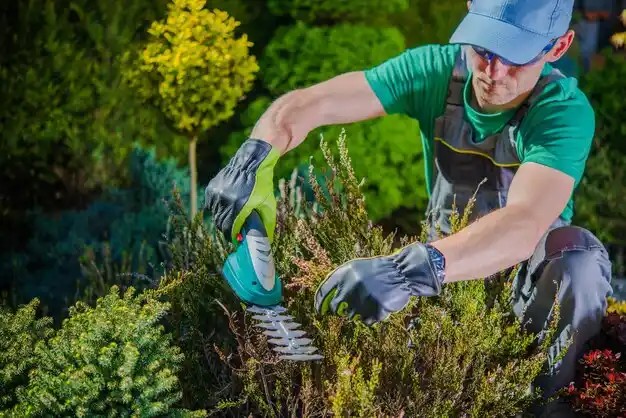 landscaping services Amesbury